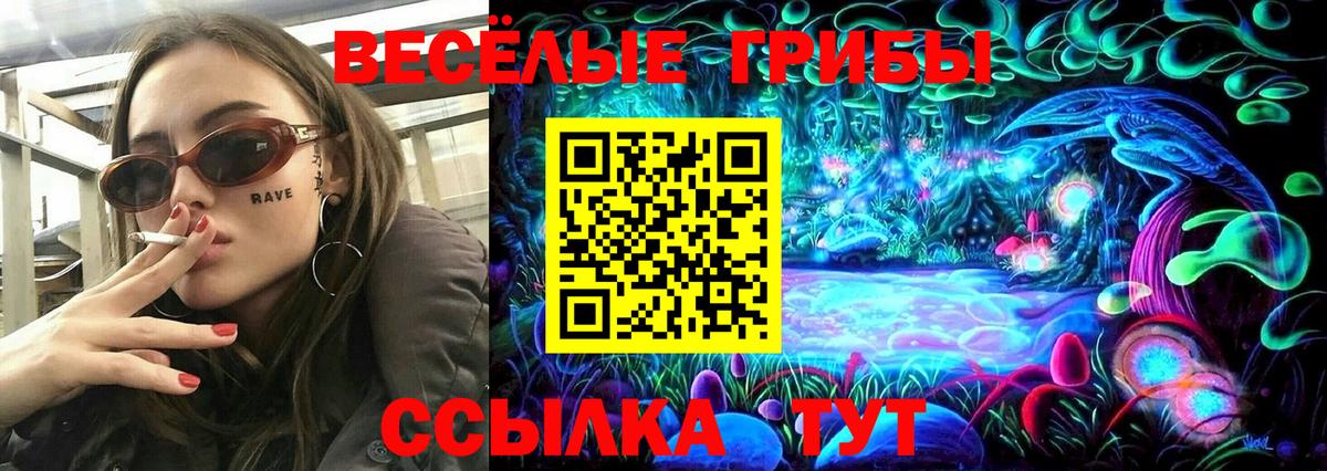 Галлюциногенные грибы Cubensis  Галлюциногенные грибы GOLDEN TEACHER  Дзержинский  Вход с VPN 